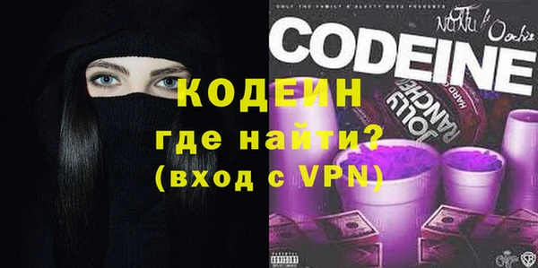 шишки Краснослободск