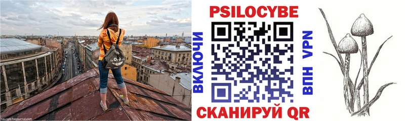 Псилоцибиновые грибы ЛСД  Козьмодемьянск 