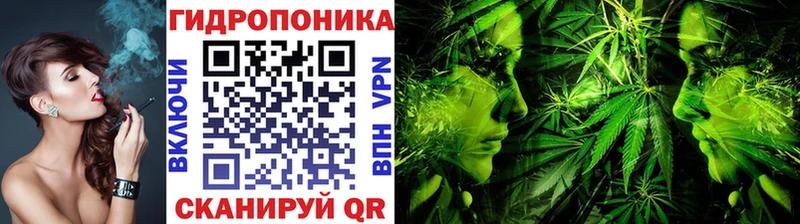 Бошки Шишки конопля  Козьмодемьянск 